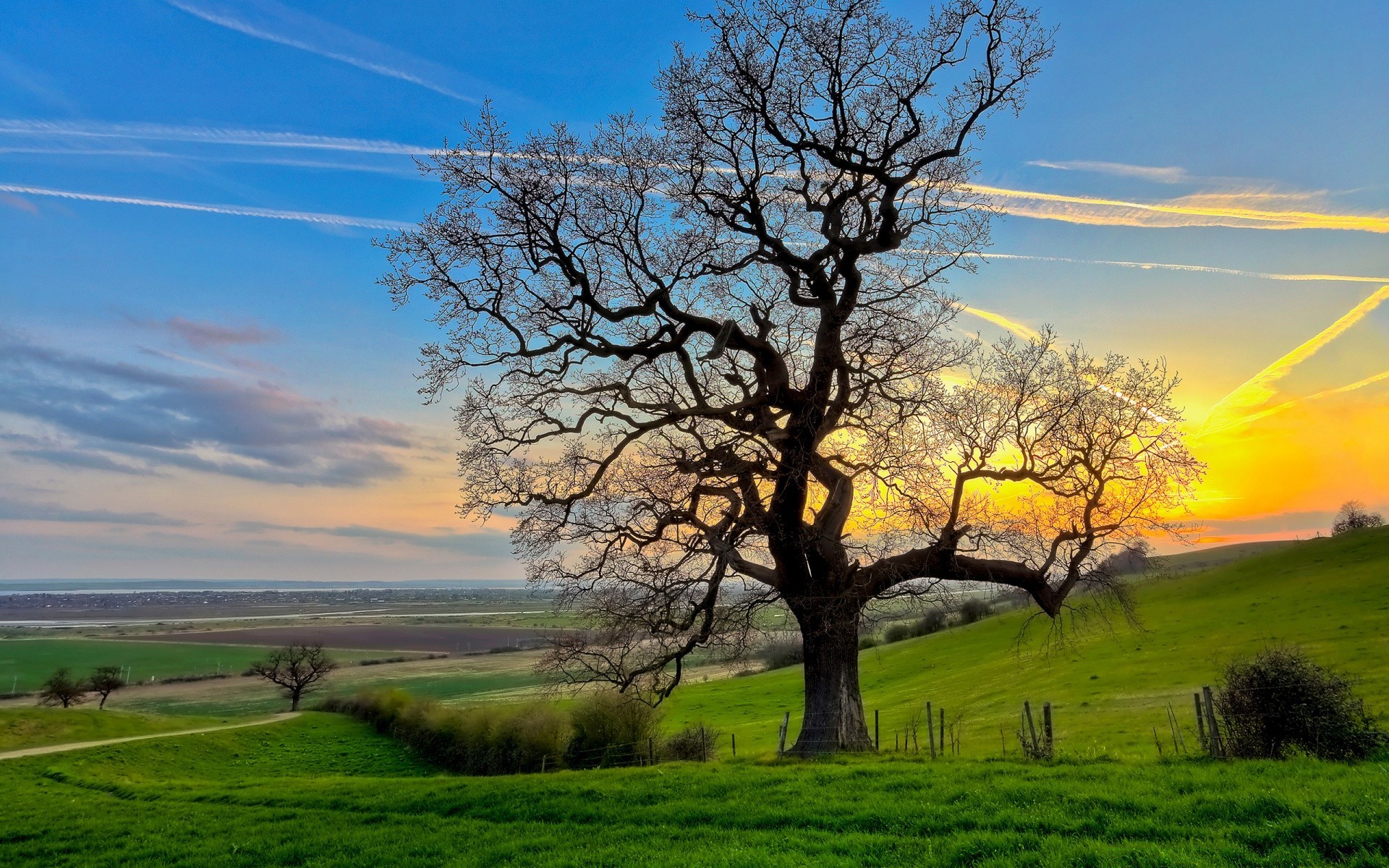 landscapes landscape tree grass nature rural hayfield countryside sky field scenic outdoors scenery summer sight agriculture fair weather season horizon idyllic