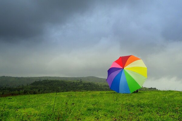 Outdoor landscape in the morning