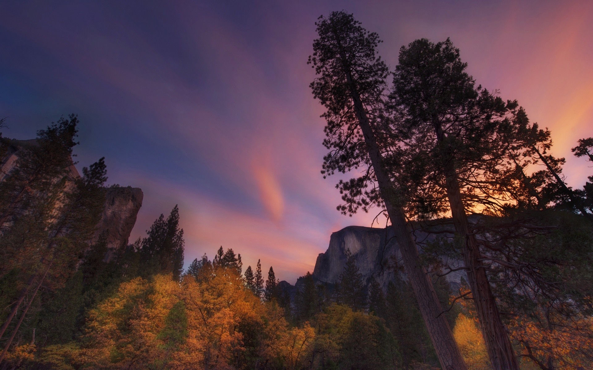 america sunset tree dawn landscape outdoors evening wood fall fog dusk sky nature travel scenic