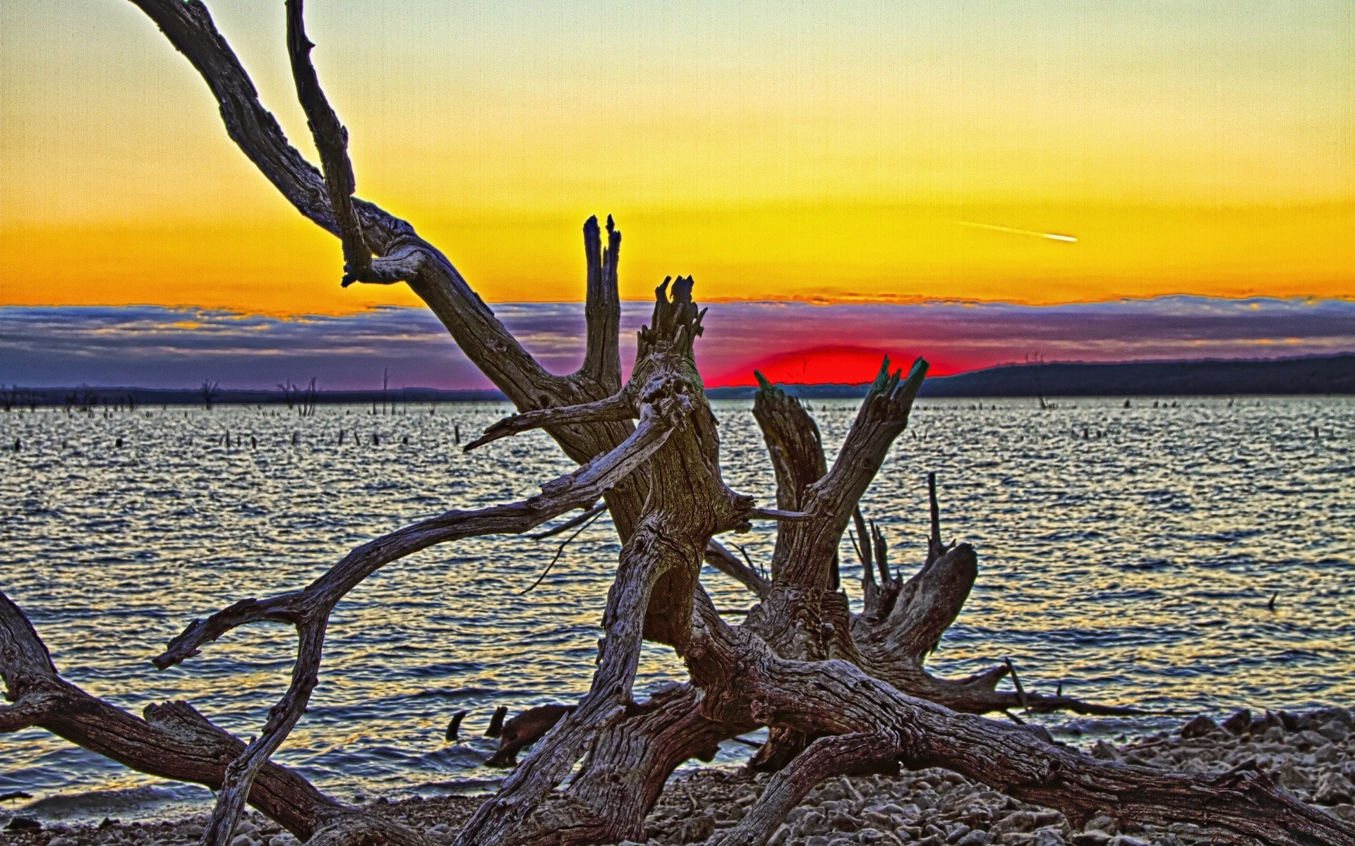 america water nature landscape sea sky travel sunset outdoors ocean wood tree seashore dawn summer evening