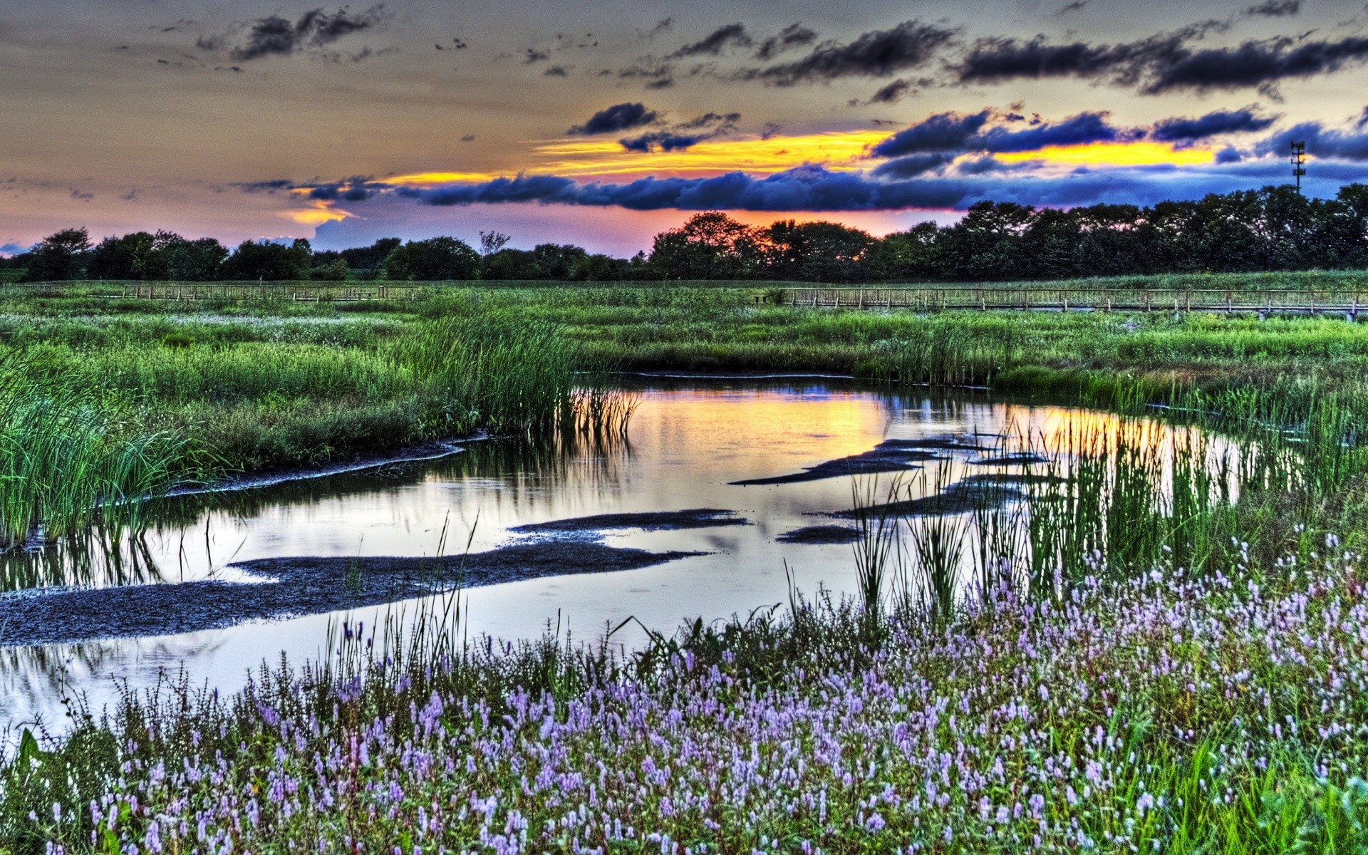 america nature water landscape lake reflection rural scenic summer grass sky outdoors river field dawn season hayfield pool scenery countryside