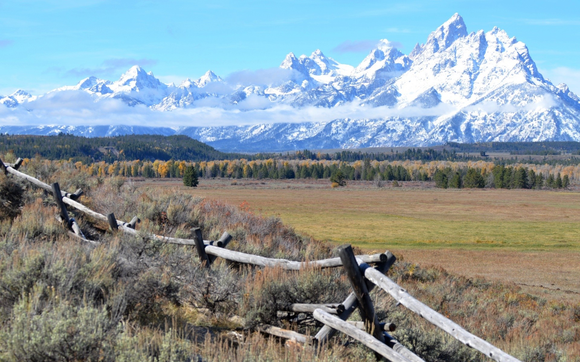 america mountain snow landscape nature outdoors wood sky scenic travel tree winter daylight