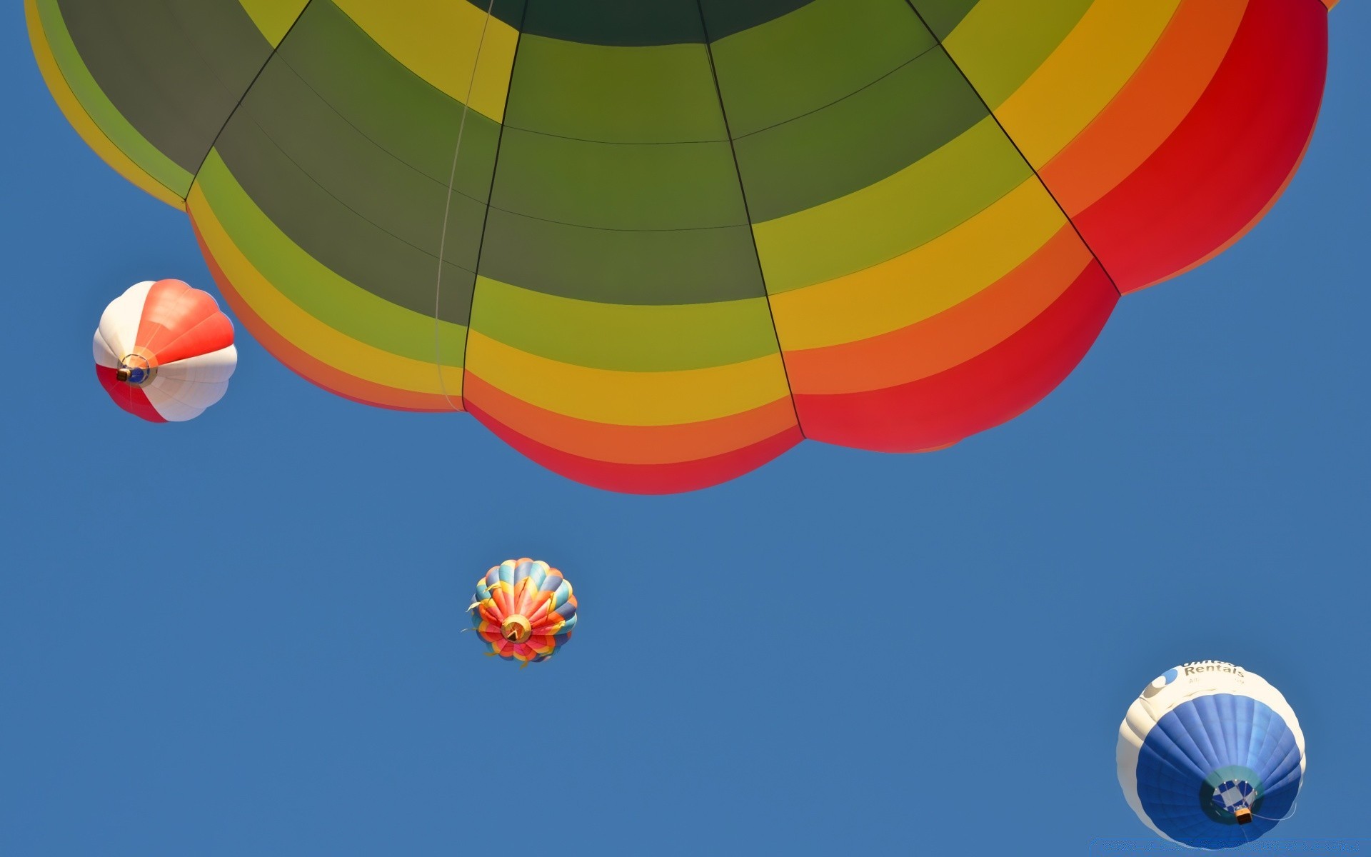 america balloon hot-air balloon air sky fun leisure recreation swimming airship helium fly flight parachute wind freedom adventure soar motley outdoors