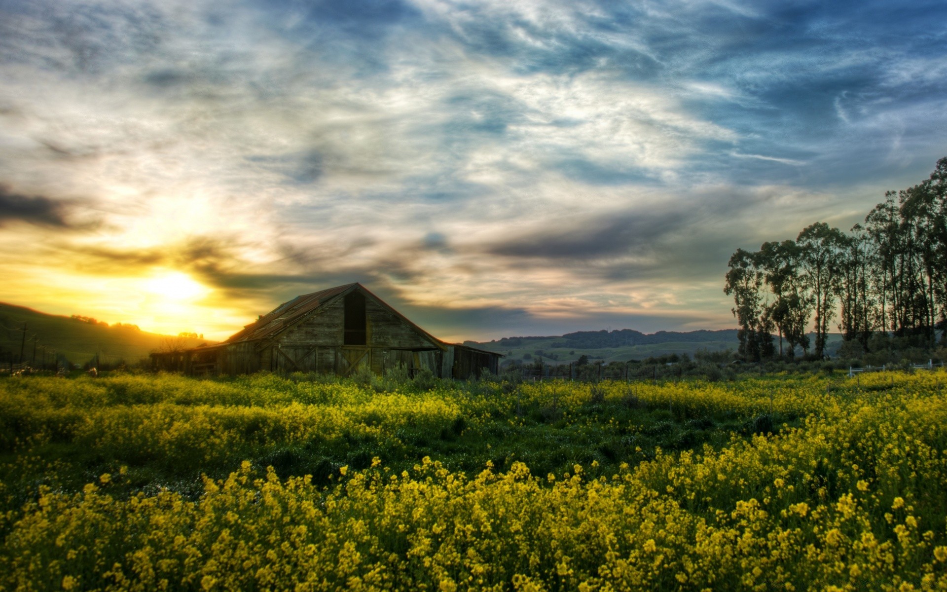 landscapes landscape agriculture field sky farm nature hayfield outdoors cloud rural scenic countryside tree grass country sunset crop cropland flower