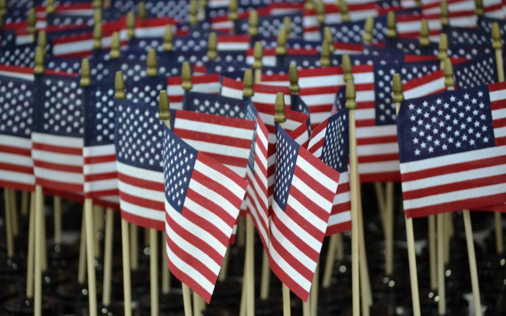 america flag patriotism stripe administration election pride veteran freedom independence day banner democracy united national identity honor competition populace quarter liberty