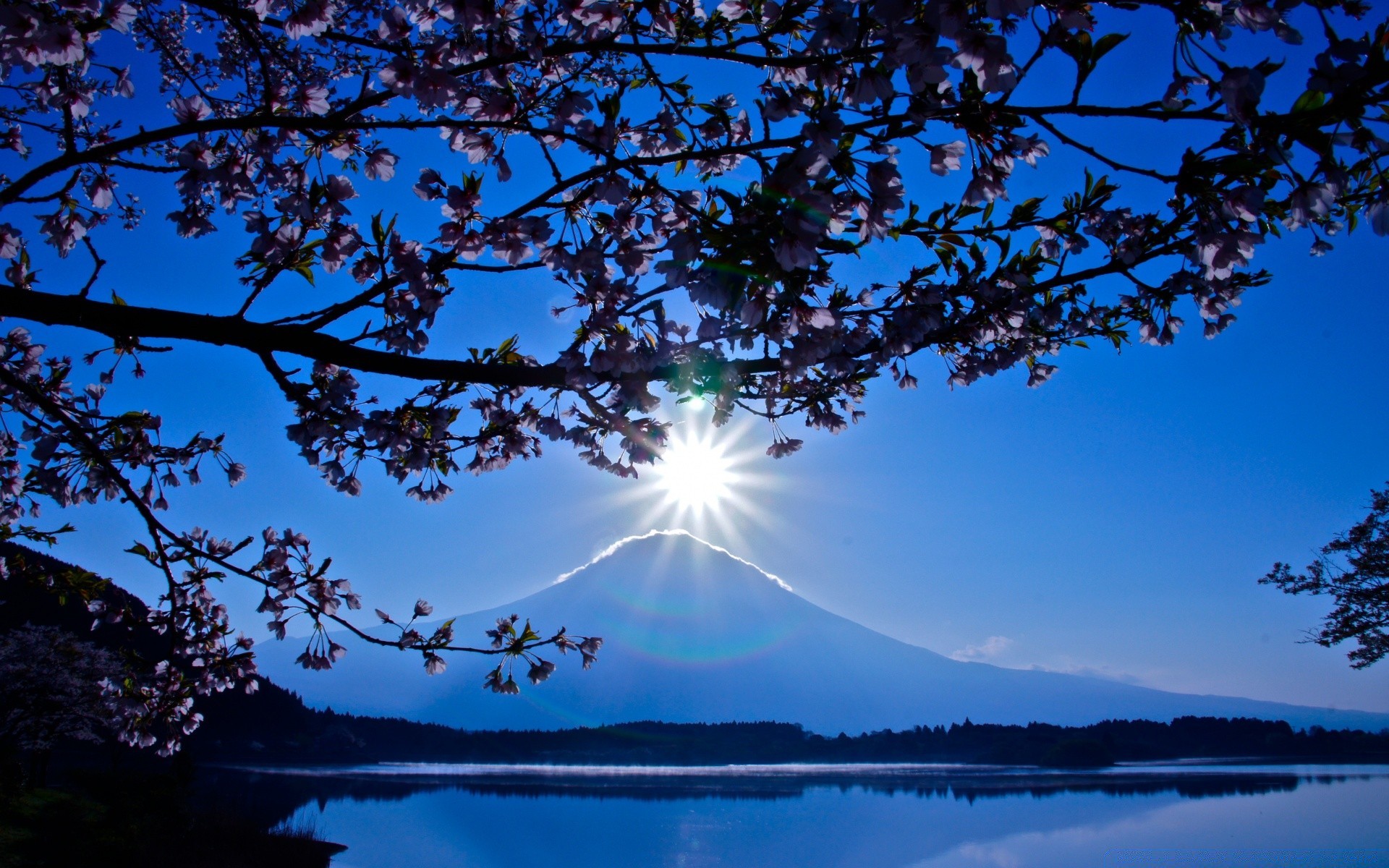 asia tree landscape sky nature dawn water lake outdoors evening sun