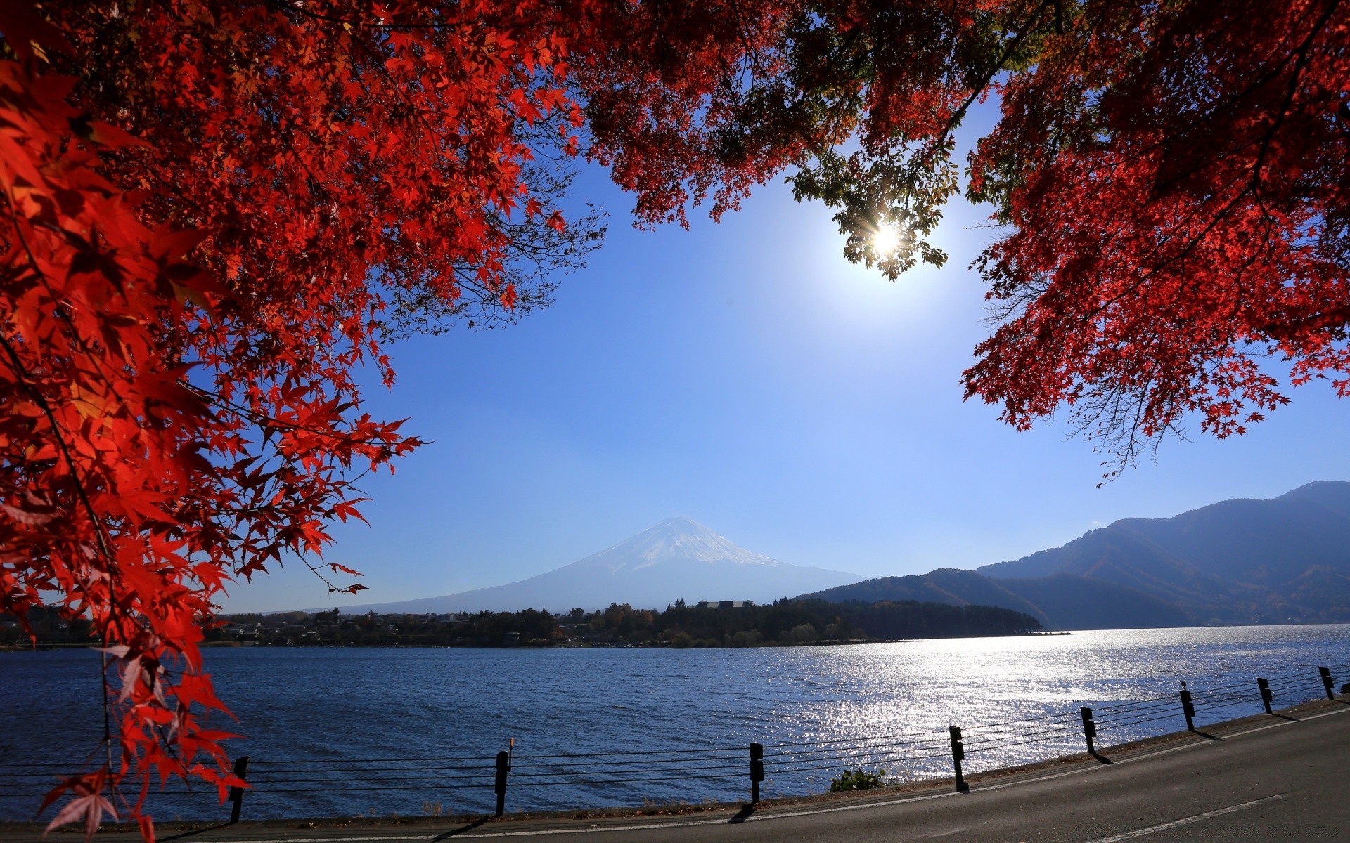 asia tree fall landscape nature leaf wood water outdoors lake season scenic dawn maple travel sky