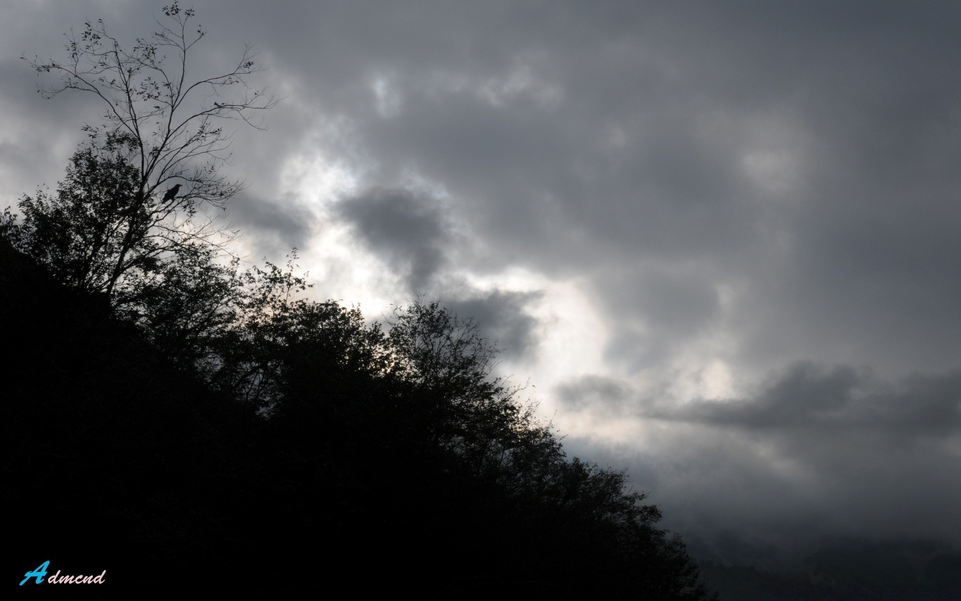 asia nature sky fog landscape sun sunset dawn tree dark monochrome silhouette mist moon outdoors