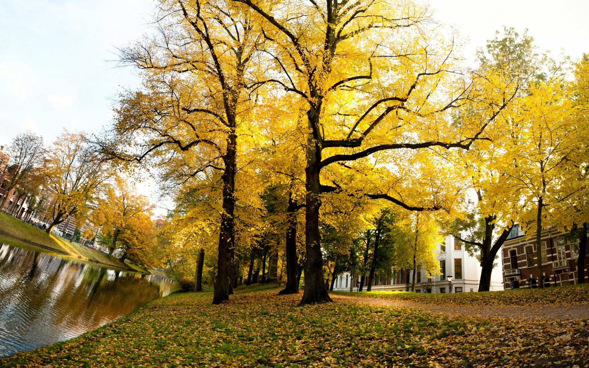 europe fall tree leaf park landscape wood season nature scenic rural branch outdoors countryside road fair weather alley guidance maple scenery