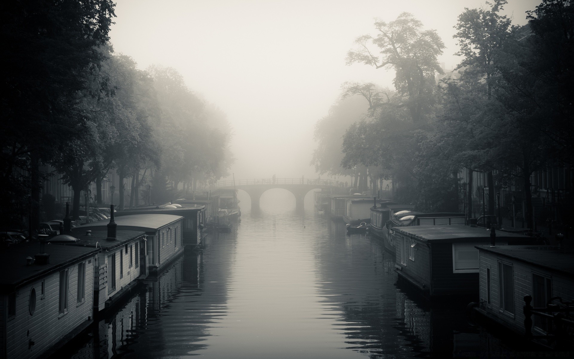 europe monochrome fog mist water river black and white rain reflection dawn street lake tree city bridge