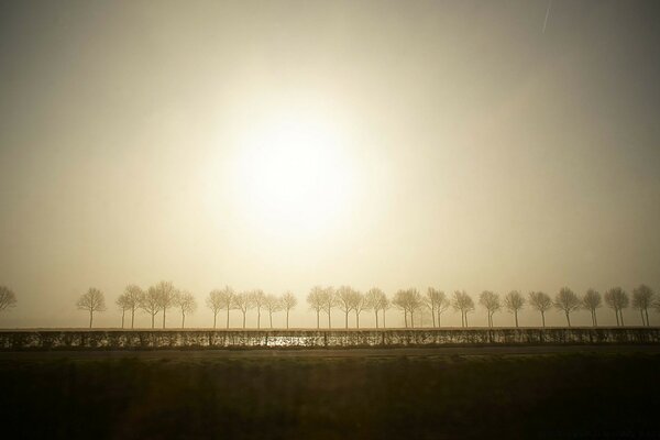 Foggy landscape at dawn
