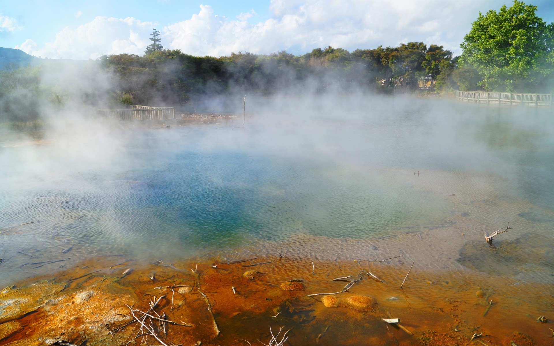 australia and oceania steam hot spring water geyser mist eruption landscape fog smoke volcano outdoors lake sulfur boiling thermal hot travel nature rainbow